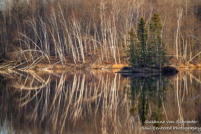 Calm Spring day with reflections, Audie Lake 4
