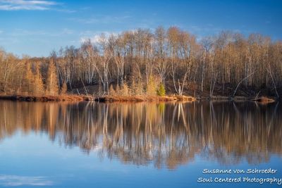 Calm Spring day with reflections, Audie Lake 5