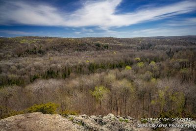 First spring greens, Juniper Rock 2