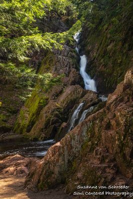 Morgan Falls, May 1