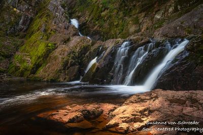 Morgan Falls, May 2