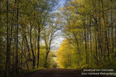 Driving through the Blue Hills
