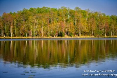 Reflections, spring