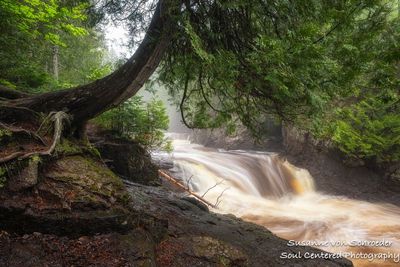 Falls at Cascade River State park, MN