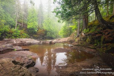 Reflections at Cascade River State park, MN 1