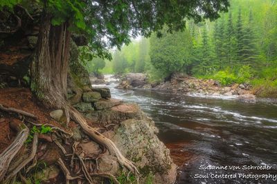 Baptism River, Tettegouche State park 1