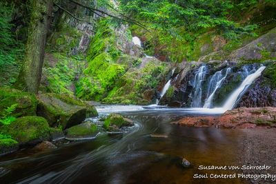 Morgan Falls