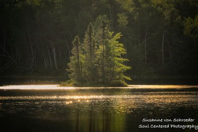 Golden island, Audie Lake