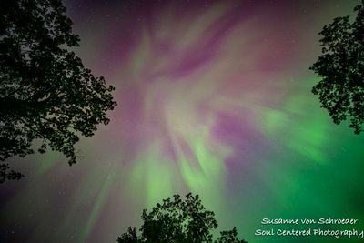 August Aurora 3