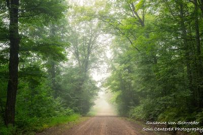 Foggy morning drive, Blue Hills