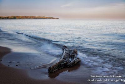 Lake Superior beach, colors of dawn, driftwood