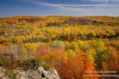 Fall colors at Juniper Rock 1