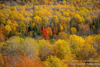 Fall colors at Juniper Rock 2