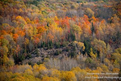Fall colors at Juniper Rock 3