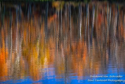 Colorful reflections 