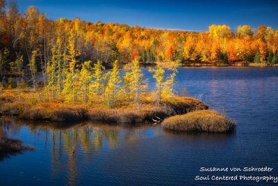 Golden Autumn landscape, Audie Lake, WI