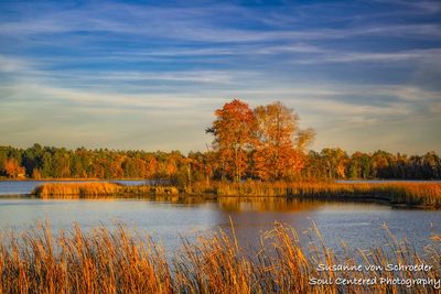 Chippewa Flowage, evening light
