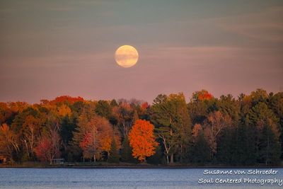 Chippewa Flowage, full moon rising 1