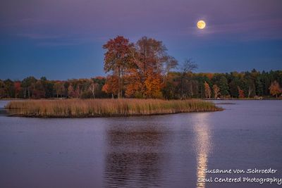 Chippewa Flowage, full moon 