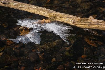 Thunderbolt shaped ice