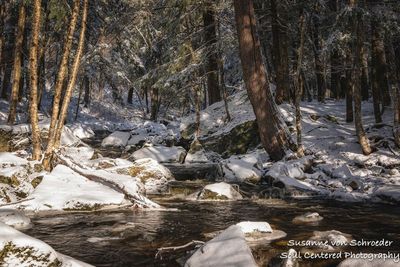 Early spring creek with snow 1