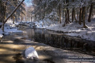 Early spring creek with snow 2