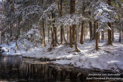 Early spring creek with snow 3