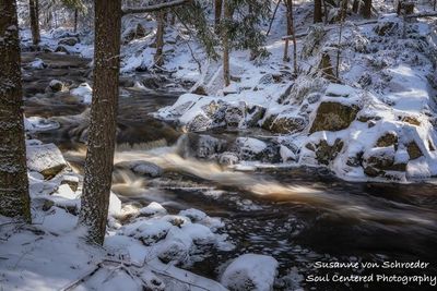 Early spring creek with snow 4