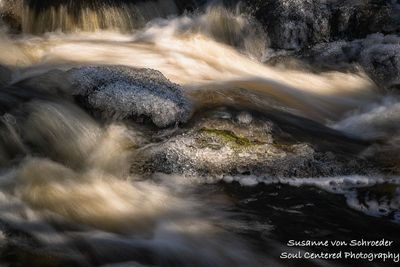 Early spring creek, up close