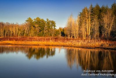 Golden light and reflections