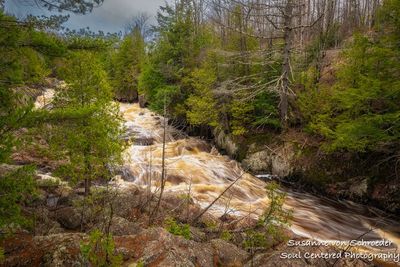Bad River at Copper Falls State Park, WI 1