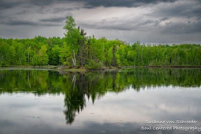 Cloudy spring day, Audie Lake, island