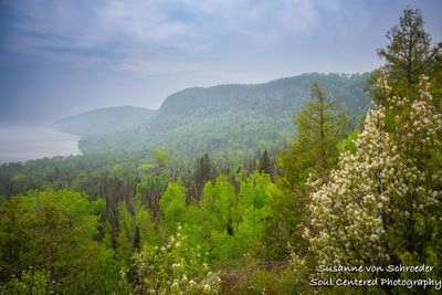 Spring landscape near Grand Portage, MN