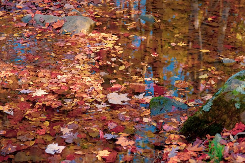 Afloat