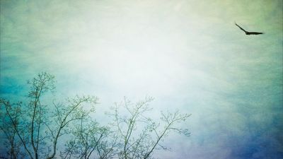 g13/61/8461/3/175294173.b6e78a9a.JPEG
