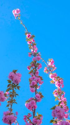 g13/61/8461/3/175344156.a92299f1.JPEG