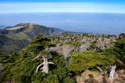 Halla-San National Park, Jeju Island
