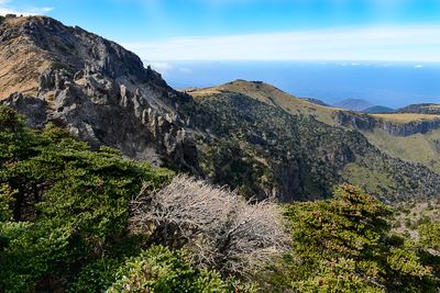 Halla-San National Park, Jeju Island