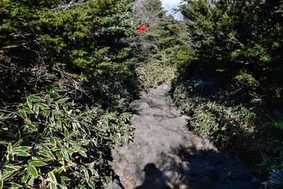 Halla-San National Park, Jeju Island
