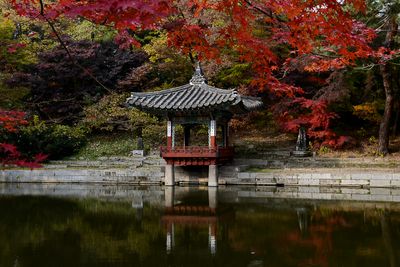 Secret Garden, Seoul