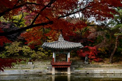 Secret Garden, Seoul