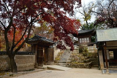 Secret Garden, Seoul