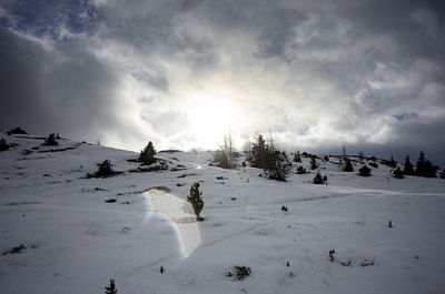 On the way up to Pleschnitzzinken