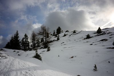 On the way up to Pleschnitzzinken