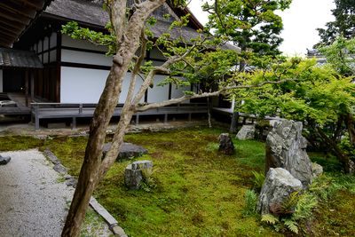 Nanzen-ji Temple complex, Kyoto