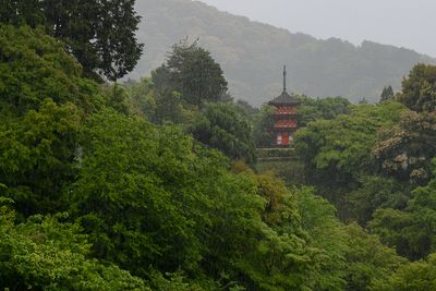 Kiyomizu-dera Temple, Kyoto