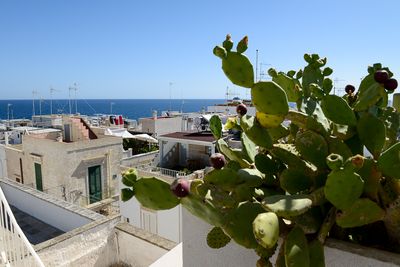 Polignano a Mare