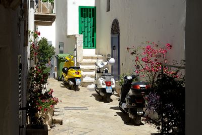 Ostuni