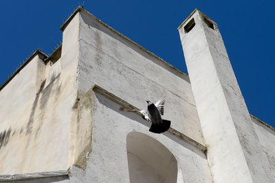 Ostuni