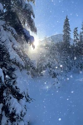 Upper Chocholowska Valley, Tatras